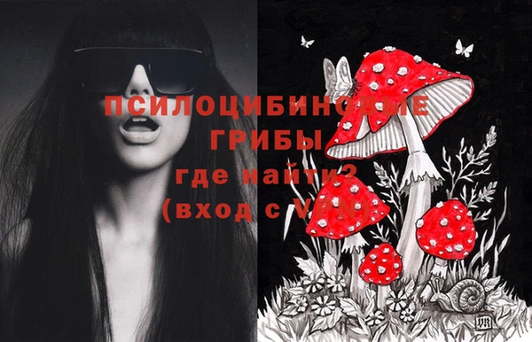 spice Заволжск
