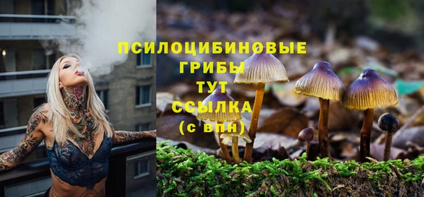 spice Заволжск