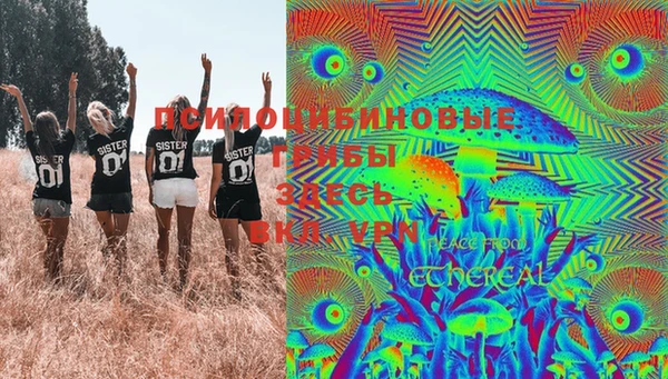 дживик Заводоуковск
