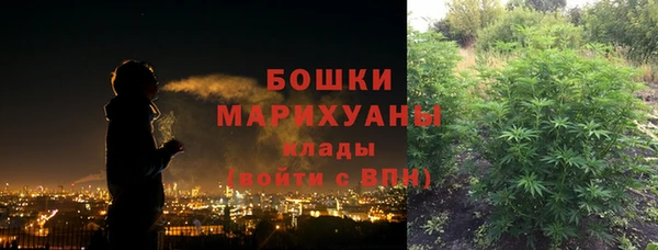 дживик Заводоуковск