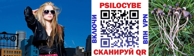 Купить где  Липки  Псилоцибиновые грибы Psilocybine cubensis 